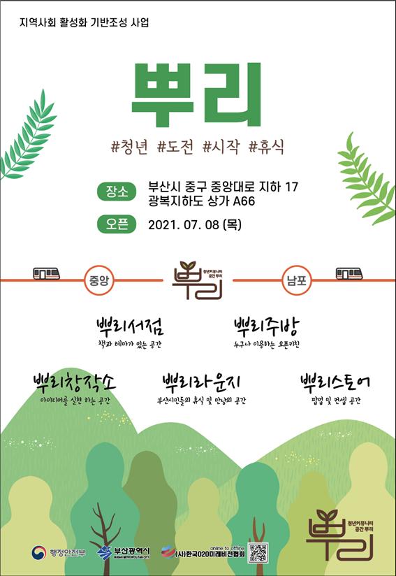 뿌리