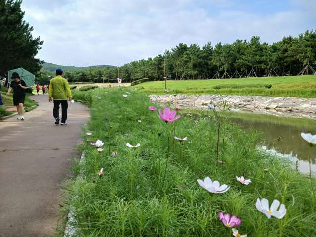 수정됨_KakaoTalk_20240720_092759179