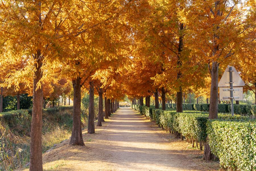 Busan Parks to help citizens make the most of the city’s green spaces thumbnail