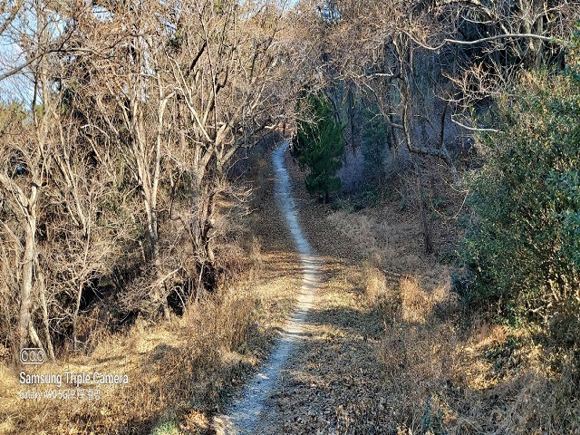 달맞이 옛길