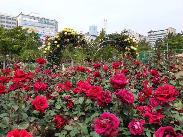 수정됨_KakaoTalk_20230512_152936206