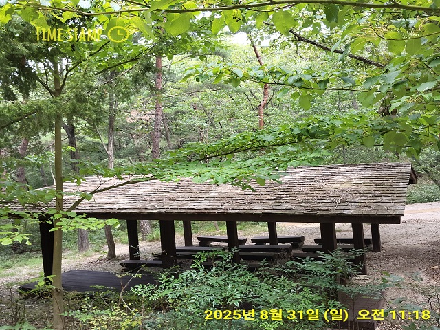 굴피나무 치유공간