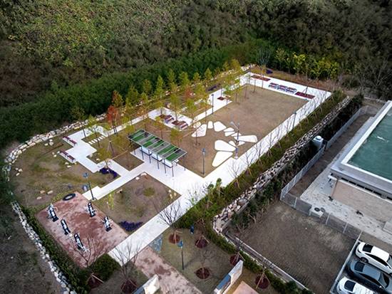 2020102909484531681_lff