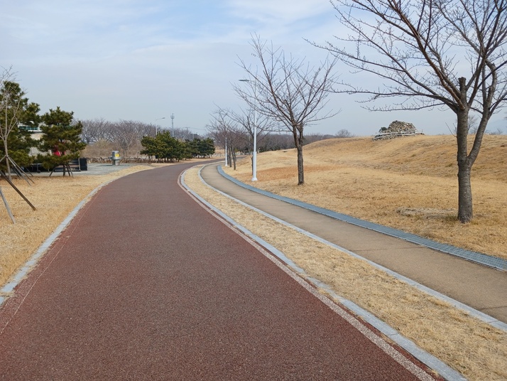 KakaoTalk_20250302_045509659