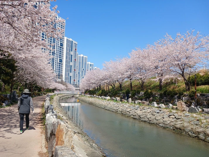 KakaoTalk_20250407_162510660