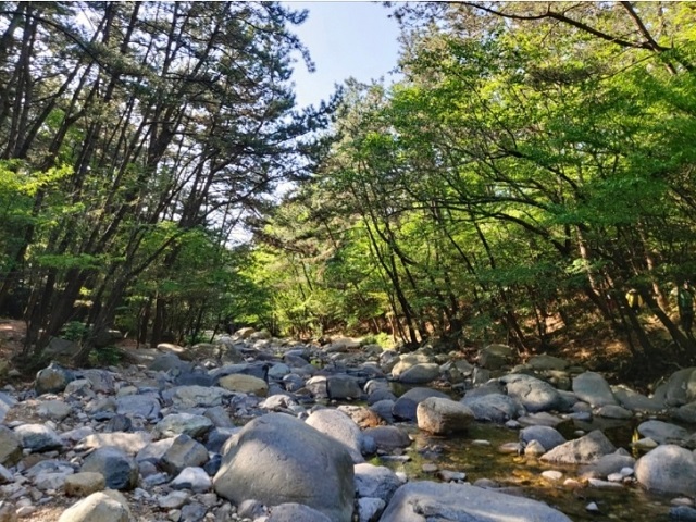 KakaoTalk_20220611_133658298_01