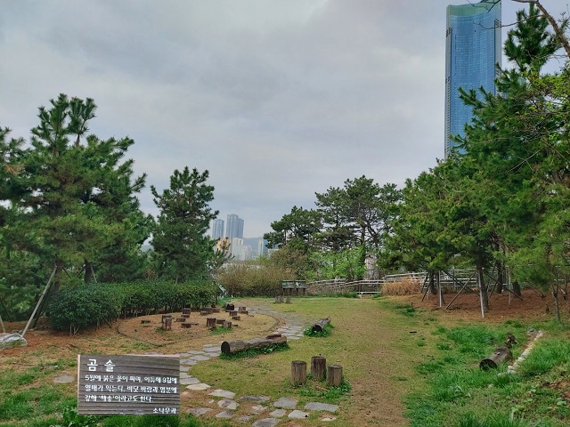 곰솔생태학습장