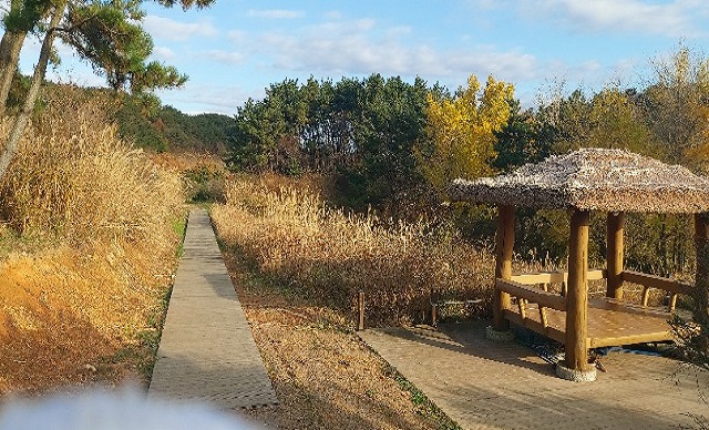 습지억새밭 정자