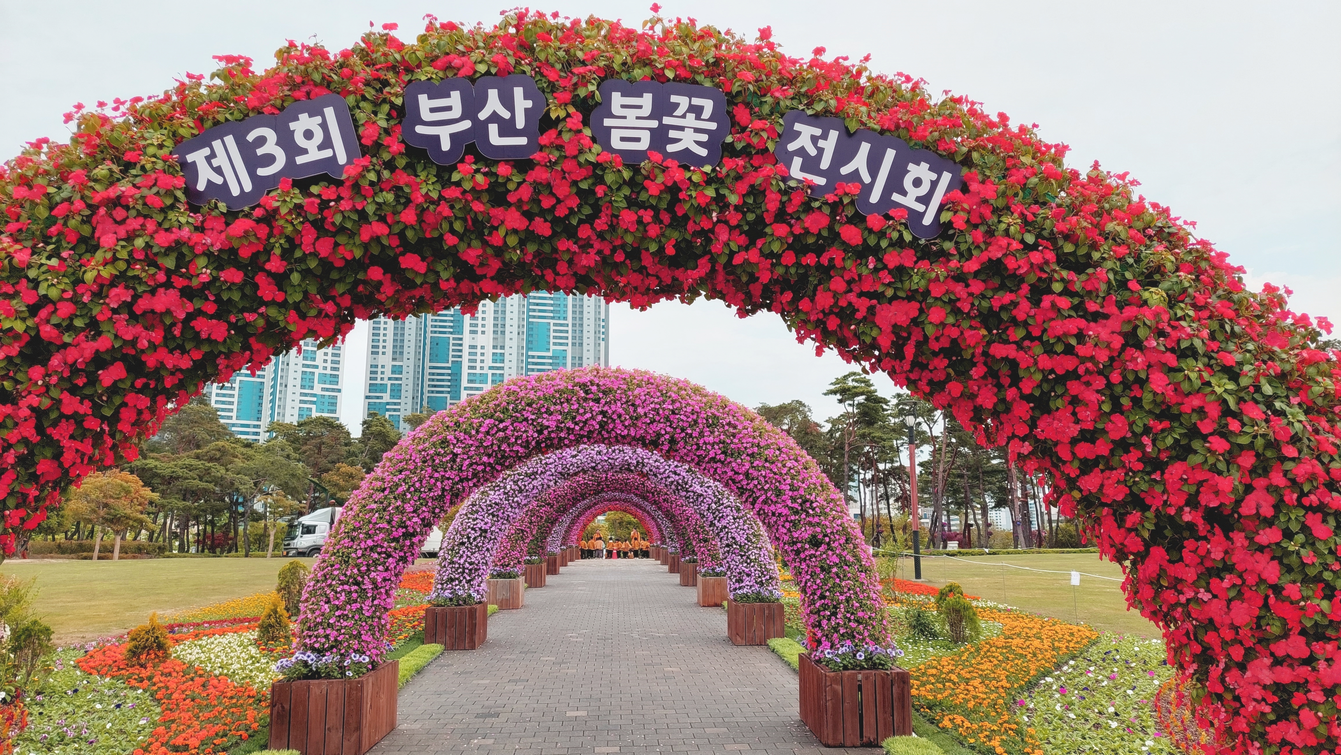 Flowers in full bloom at Busan Citizens Park
