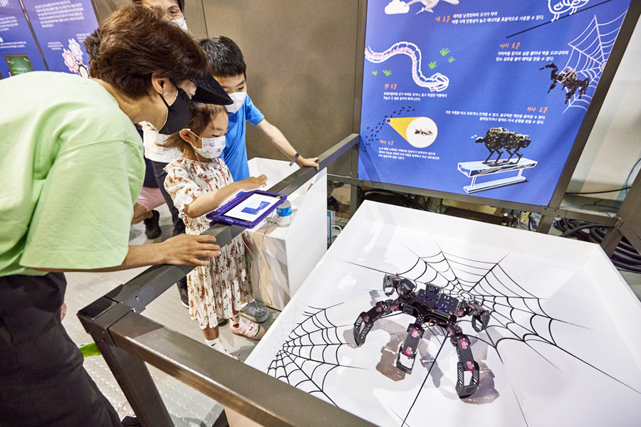 국립부산과학관_공동특별전 _헬로로봇_거미로봇