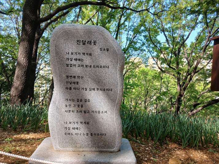 KakaoTalk_20250504_145255050