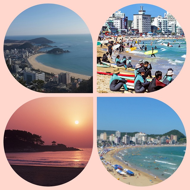 송정해수욕장 모음