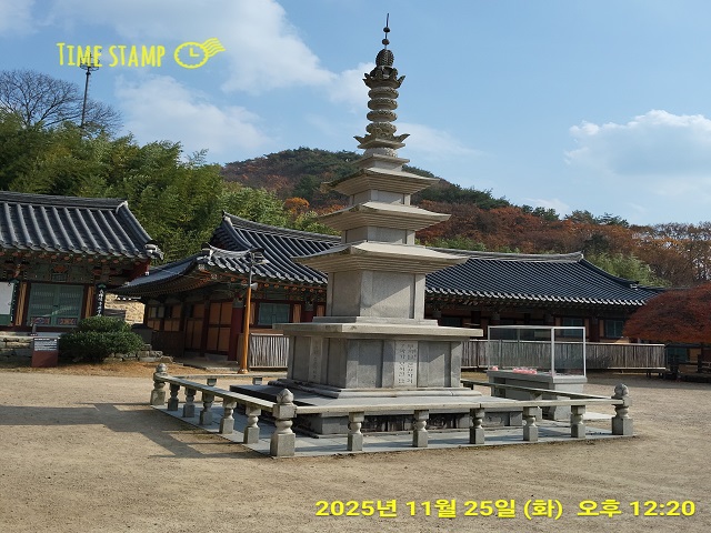 부처님진신사리탑0