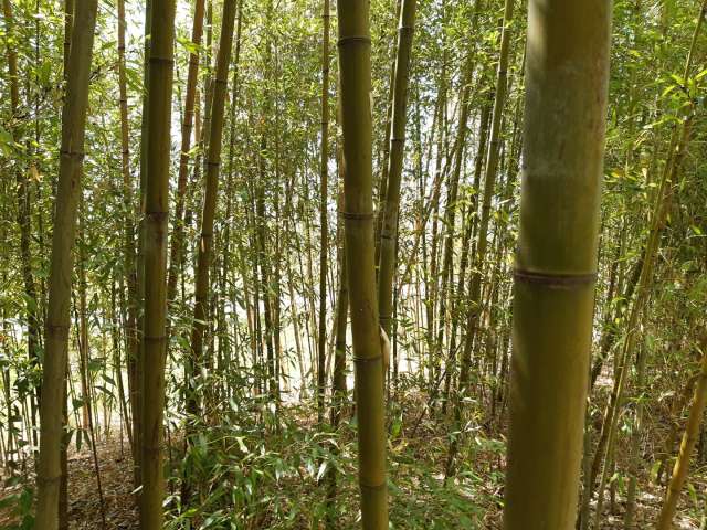 수정됨_KakaoTalk_20220416_145740575