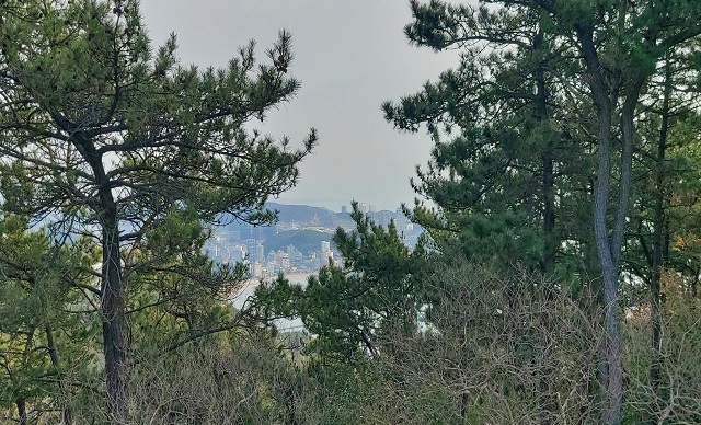 해마루(송정해수욕장)