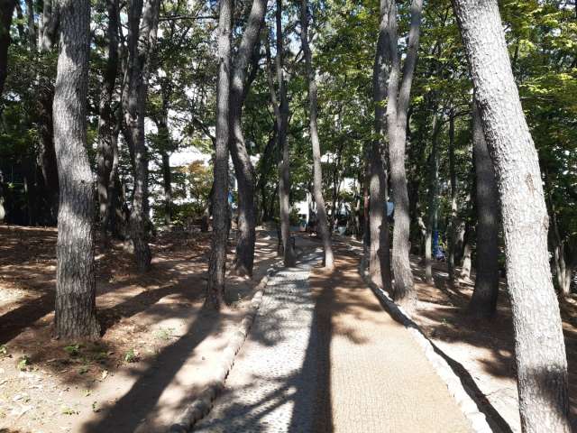 수정됨_KakaoTalk_20221018_060605450