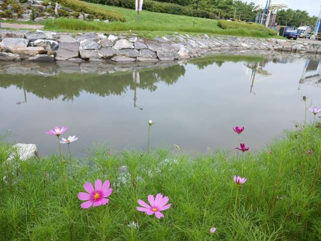 수정됨_KakaoTalk_20240720_092757884