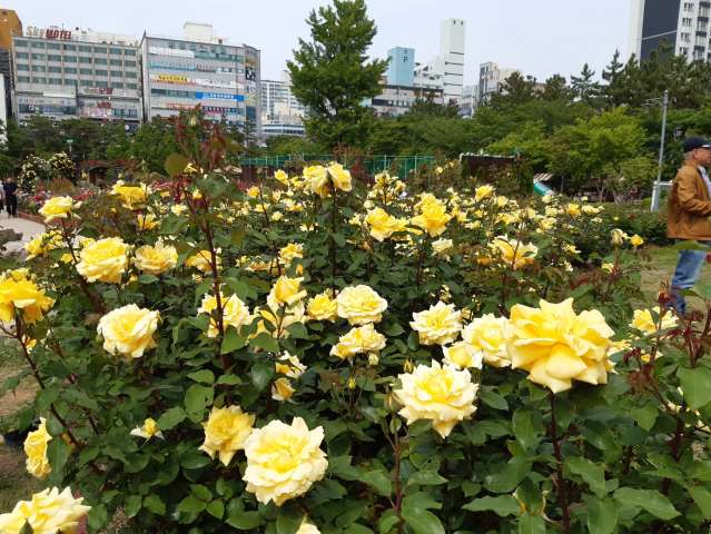 수정됨_KakaoTalk_20230512_152934084