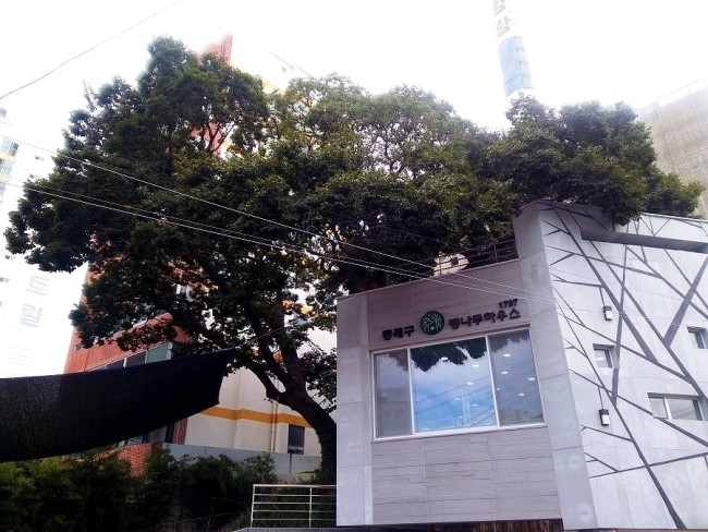 1797팽나무 하우스 전경 사진2