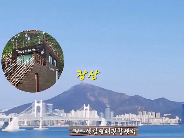 표지000