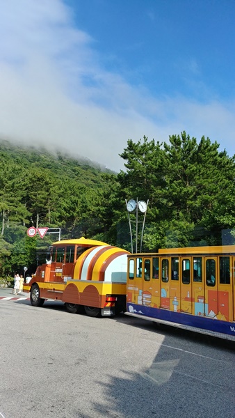 태종대 다누비열차 앞열차 사진