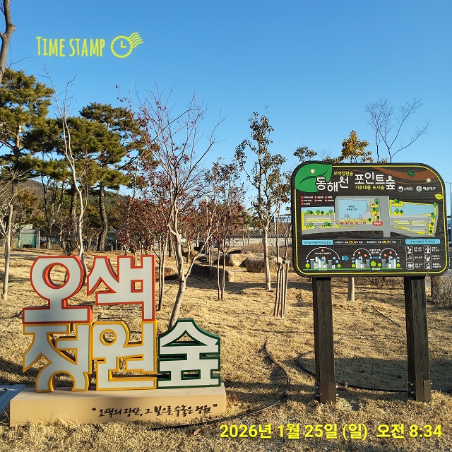 오색정원숲, 동해선포인트숲