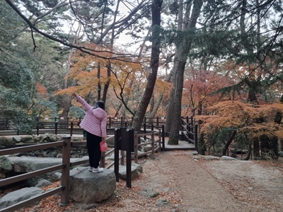 12-3-1(수정)cw10_전선혜