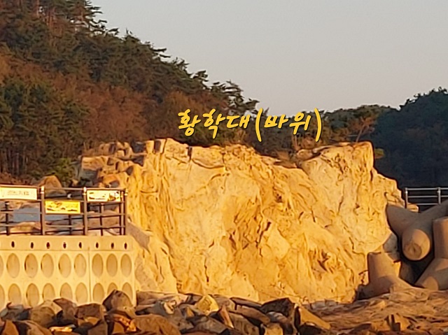 황학대 바위(바다쪽)