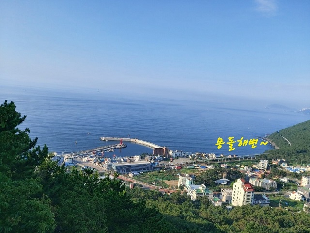 청사포함