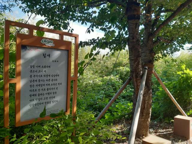 수정됨_KakaoTalk_20220828_175818880