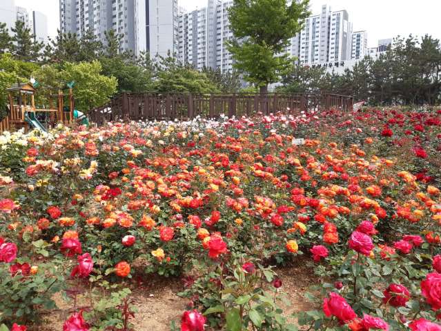 수정됨_KakaoTalk_20230512_152934962