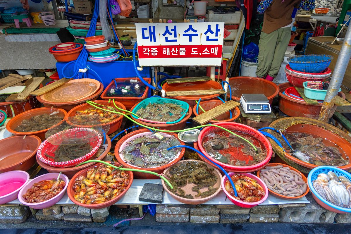 다대활어재래시장3