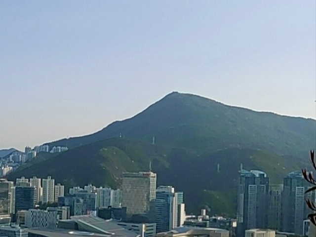 장산1
