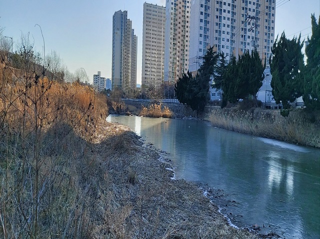 얼어붙은 송정천