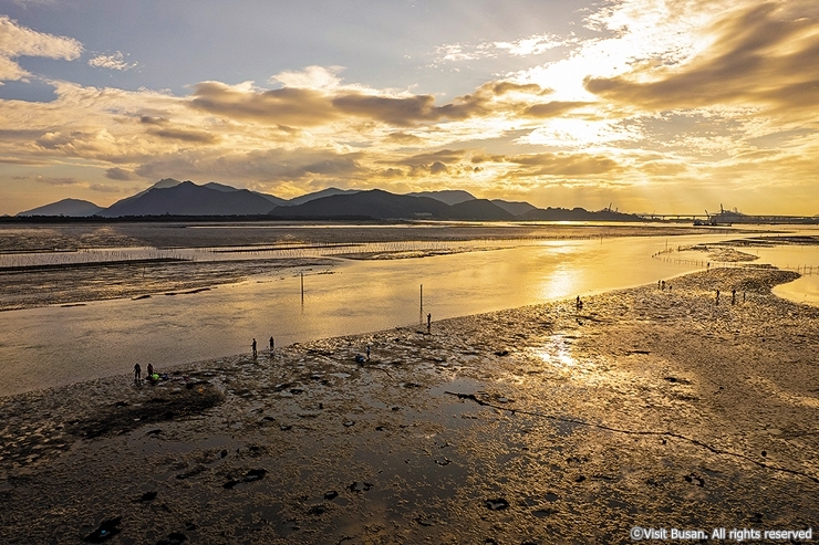 4-5-2 강서신호공원_비짓부산_cw10