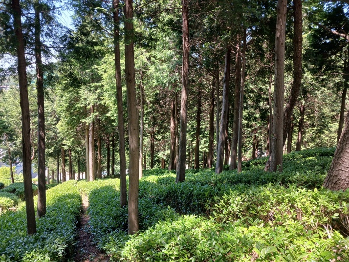 KakaoTalk_20240517_164438493