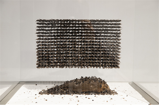 내가 깨어나기 전에 죽는다면 If I Die Before I Wake, 2016