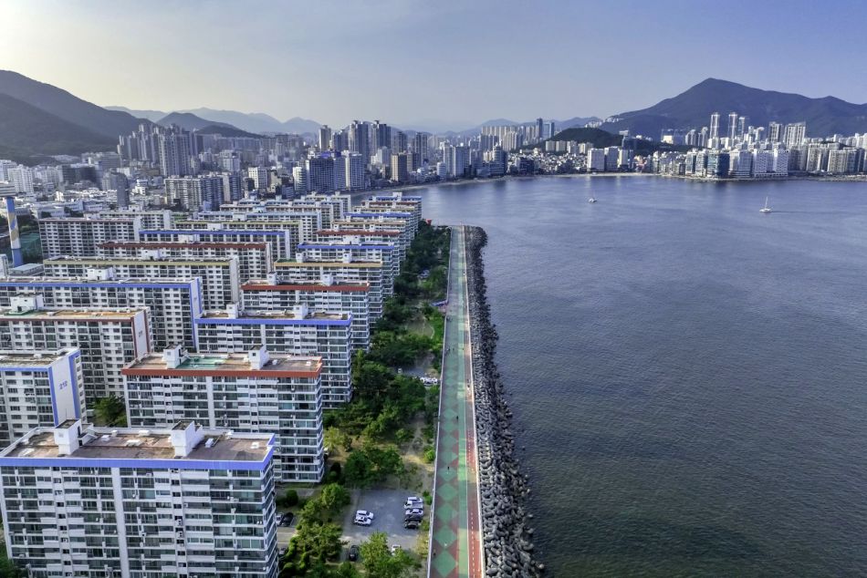 남천벚꽃거리_1