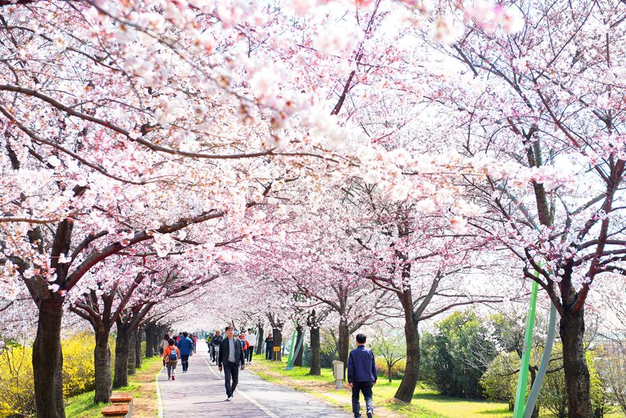 KakaoTalk_20260401_101117529_05