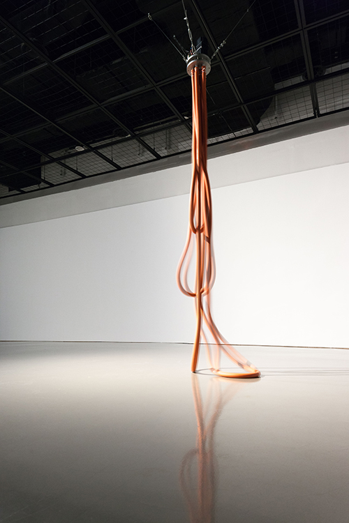 정성윤(Jung-Seong-Yoon)--The-things-we-have-brought