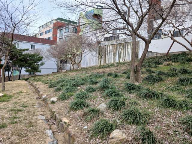 수정됨_KakaoTalk_20240319_175921910