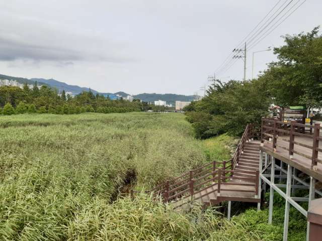 수정됨_KakaoTalk_20210710_174443276
