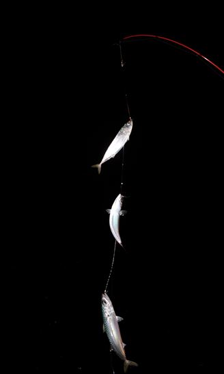 24∼25면-고등어3