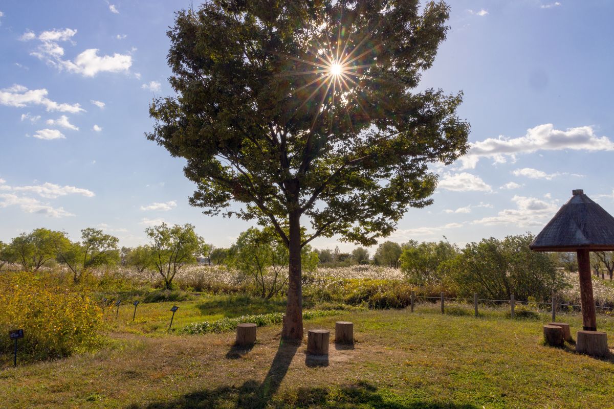 삼락습지생태원_3