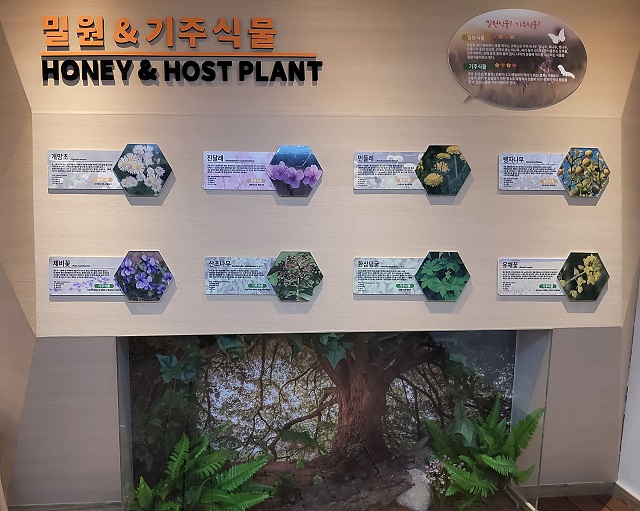 밀원기주식물 전체