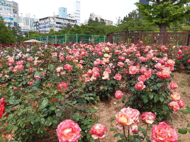 수정됨_KakaoTalk_20230512_152934516