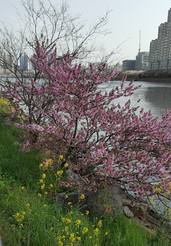 KakaoTalk_20200525_234215960_02