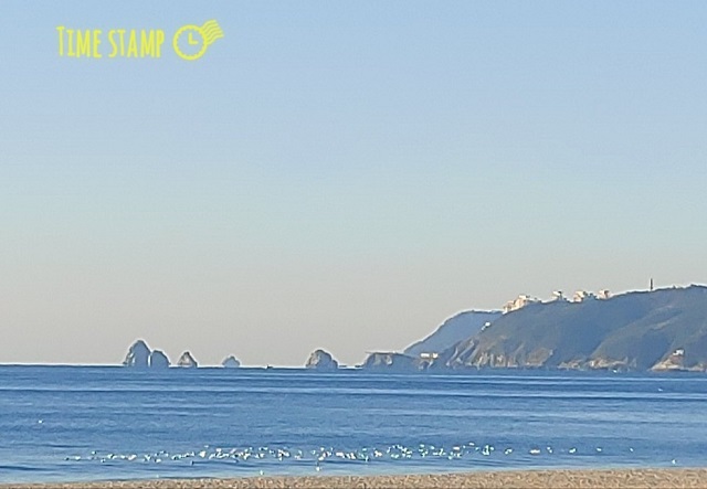 오륙도0