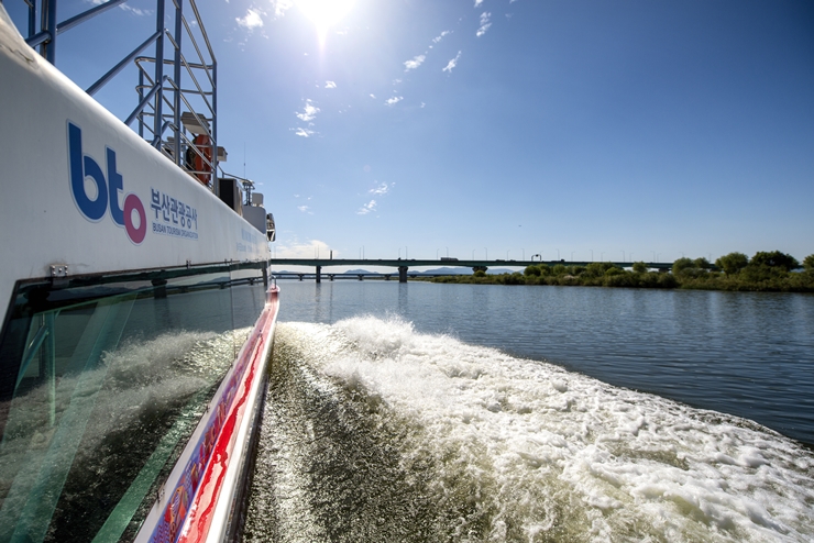 4-5-6 낙동강생태탐방선