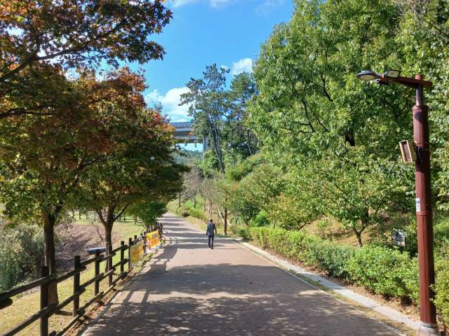 수정됨_KakaoTalk_20241025_170345281